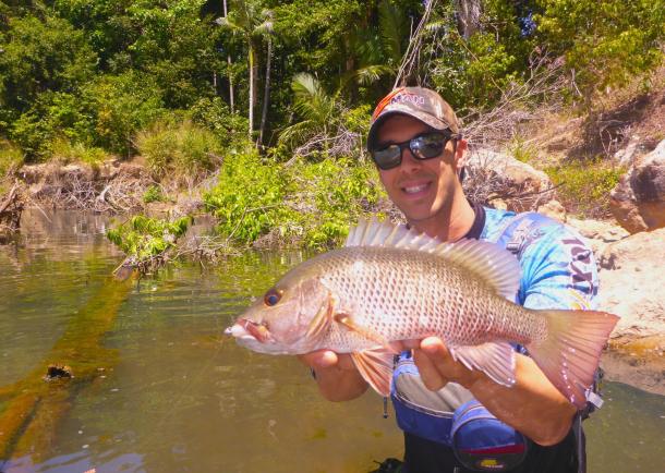 The T-Curve Revolution Bluewater Travel LT Spin 703 matched up with a Saragosa SW 5000 spinning reel proved the ideal set up for casting lures to medium-sized pelagics such as this Kimberley queenfish.